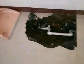 安达卫生间测漏水多少钱